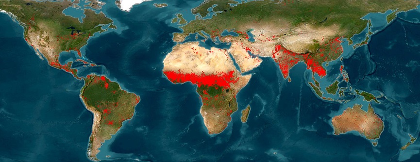 World map with wildfire points marked. There is a band of high concentration around equatorial countries.